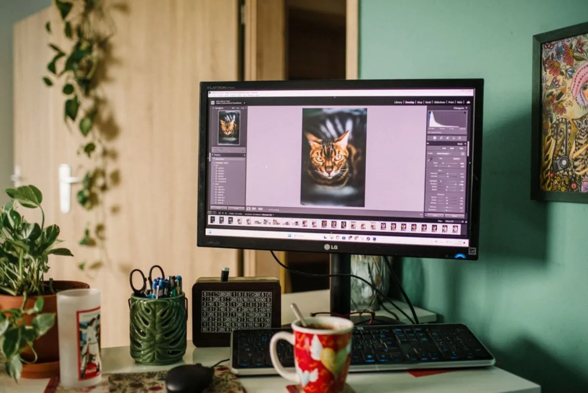 gif editing